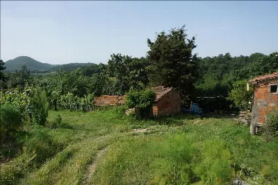 Rustico/Casale in vendita a Trequanda - foto 2