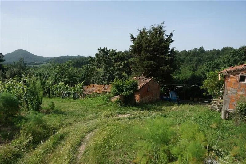 Rustico/Casale in vendita a Trequanda - foto 2
