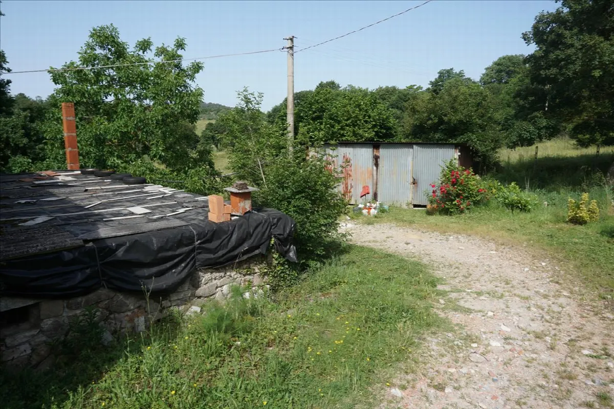 Rustico/Casale in vendita a Trequanda - foto 5