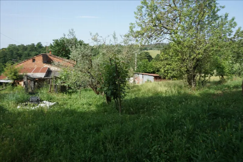 Rustico/Casale in vendita a Trequanda - foto 6