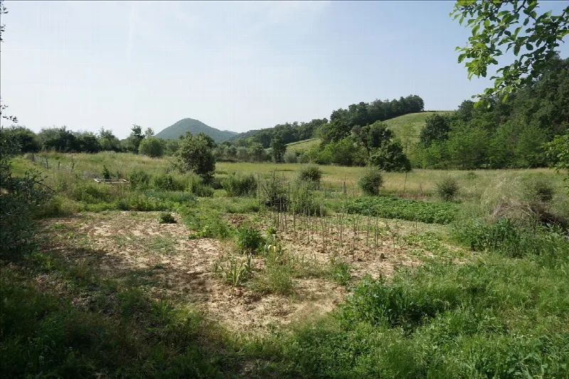 Rustico/Casale in vendita a Trequanda - foto 7