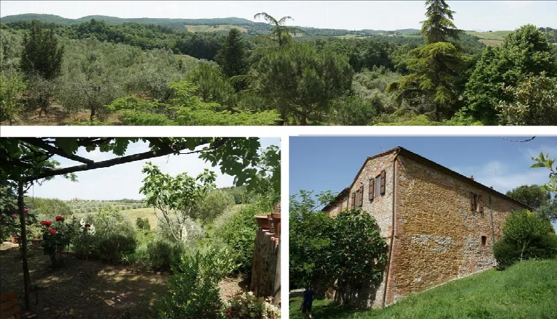 Rustico/Casale in vendita a Trequanda - foto 10