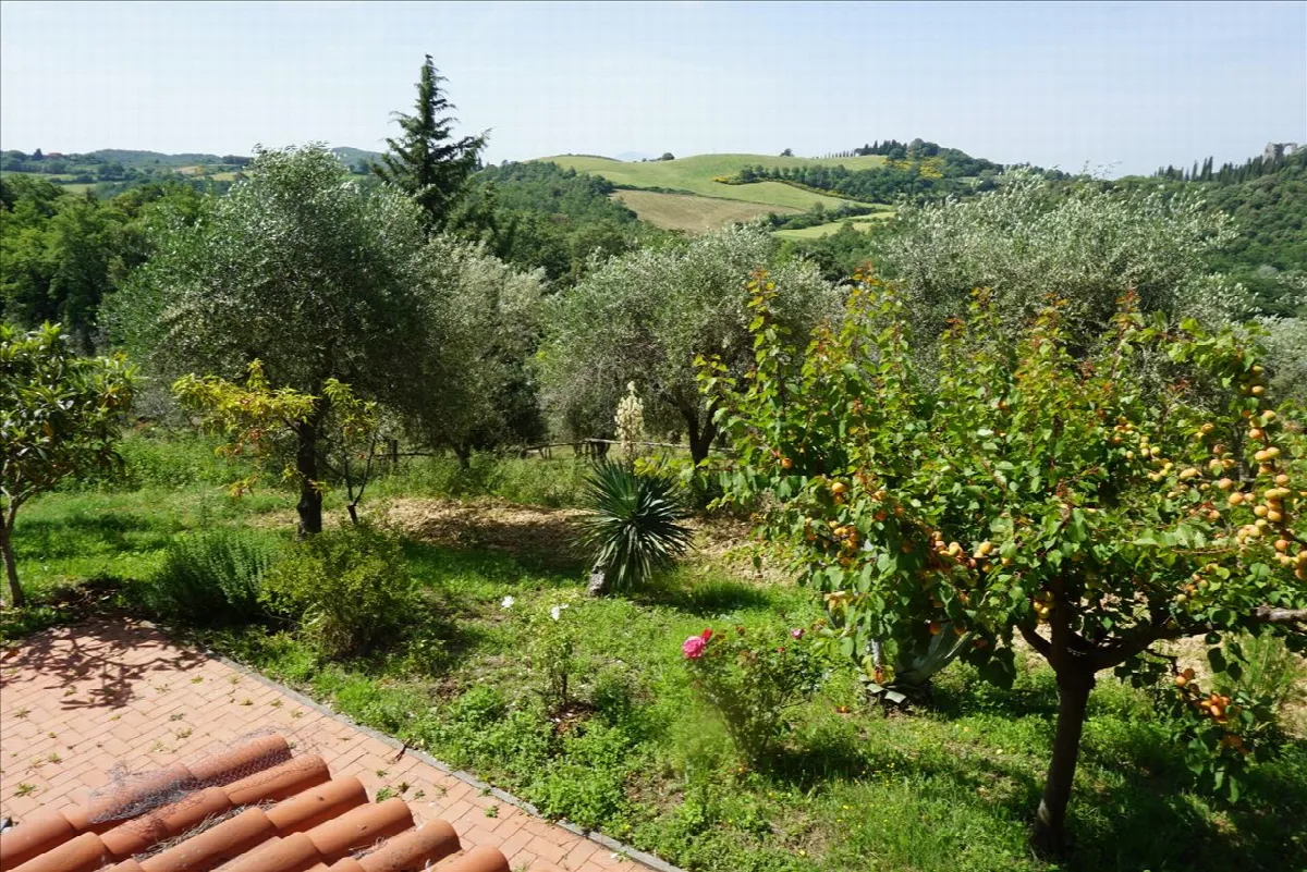 Rustico/Casale in vendita a Trequanda - foto 3