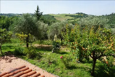 Rustico/Casale in vendita a Trequanda - foto 3