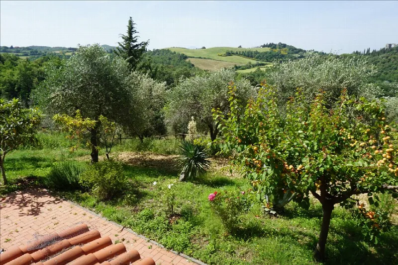 Rustico/Casale in vendita a Trequanda - foto 3