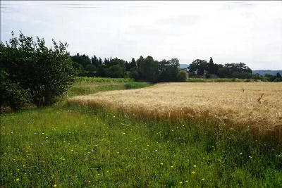 Villa in vendita a Arezzo - foto 6