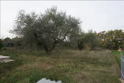 Casa Indipendente in vendita a Castiglione... - foto 10