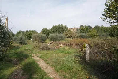 Rustico/Casale in vendita a Sinalunga - foto 5