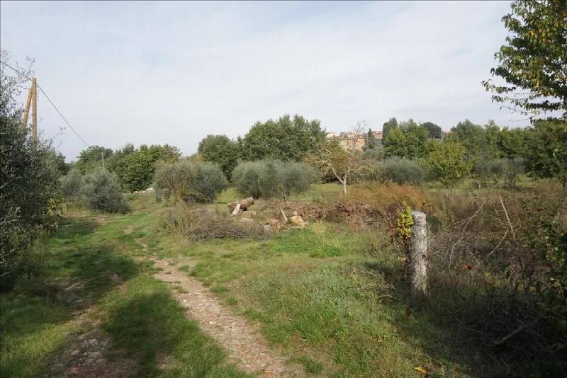 Rustico/Casale in vendita a Sinalunga - foto 5