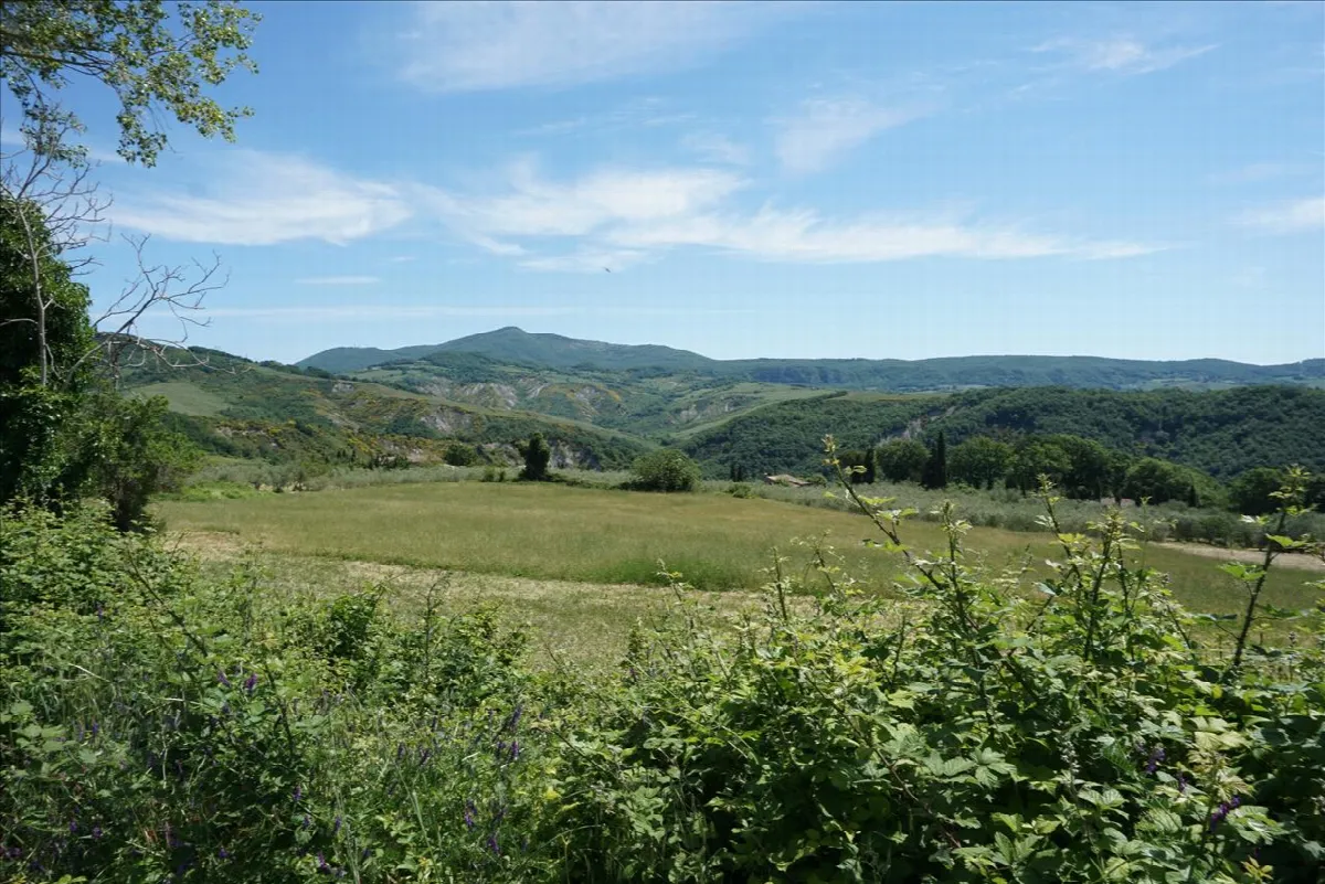 Rustico/Casale in vendita a Radicofani - foto 4
