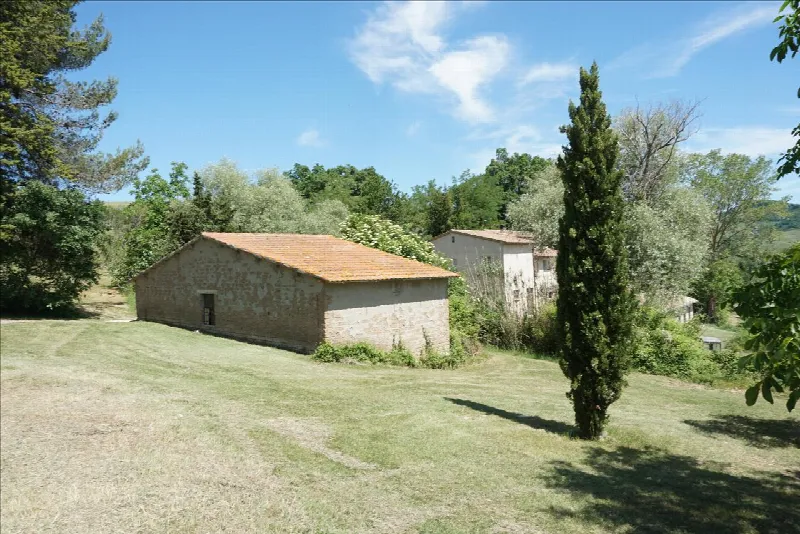 Rustico/Casale in vendita a Radicofani - foto 9