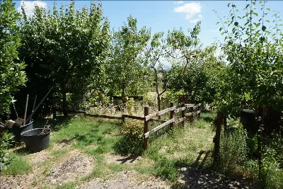 Appartamento in vendita a Sarteano - foto 7