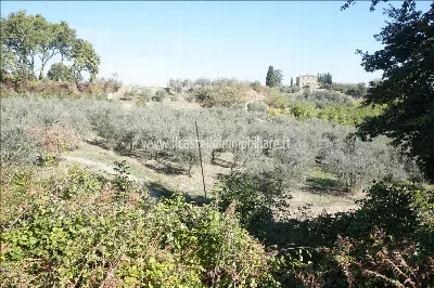 Villa in vendita a Cetona - foto 7