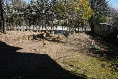 Appartamento in vendita a Sarteano - foto 6