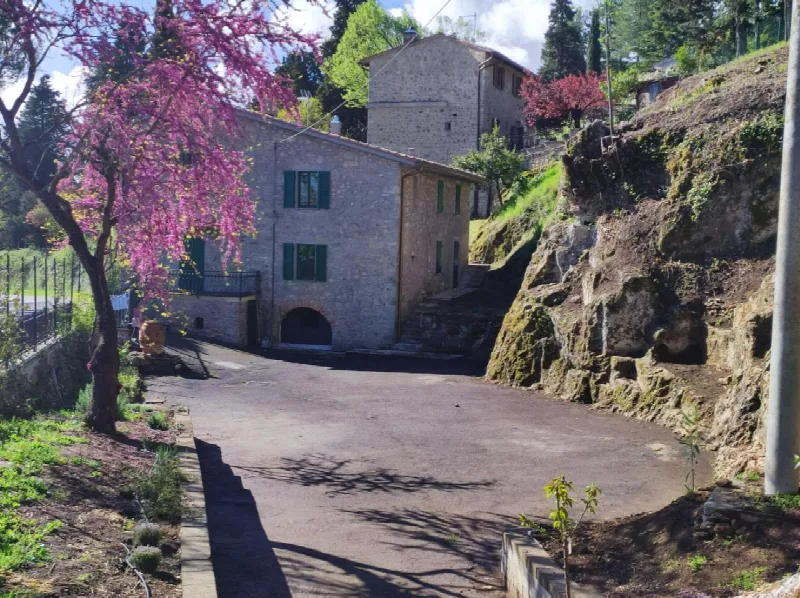 Rustico/Casale in vendita a Sarteano - foto 3