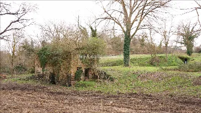 Rustico/Casale a Sarteano