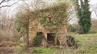 Rustico/Casale in vendita a Sarteano - foto 10