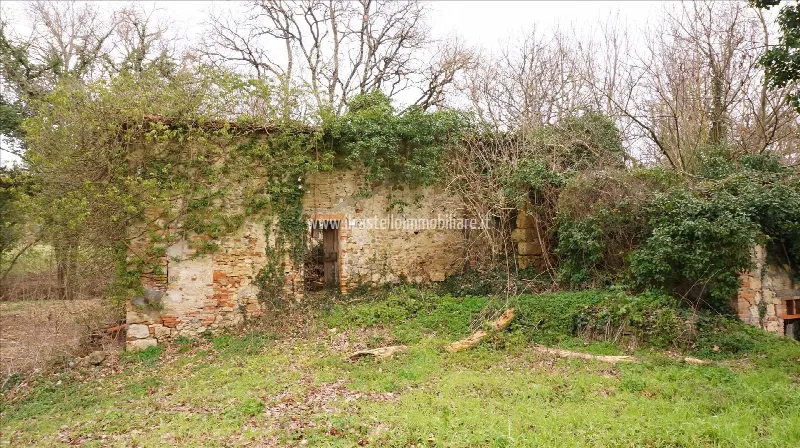 Rustico/Casale in vendita a Sarteano - foto 6