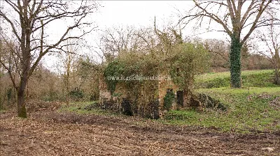 Rustico/Casale in vendita a Sarteano - foto 8