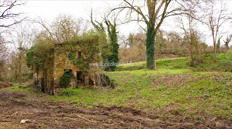 Rustico/Casale in vendita a Sarteano - foto 9