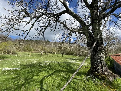 Casa Indipendente in vendita a Sarteano - foto 10