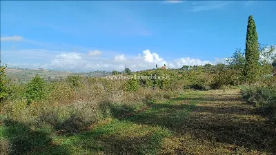 Rustico/Casale in vendita a Castiglione de... - foto 10