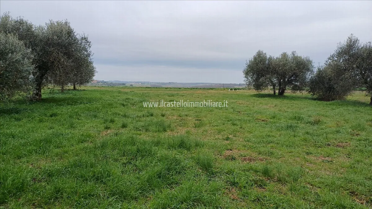 Villa in vendita a Castiglione del Lago - foto 4