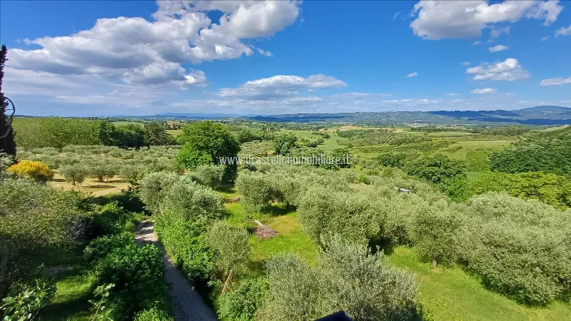 Villa in vendita a Cetona - foto 6
