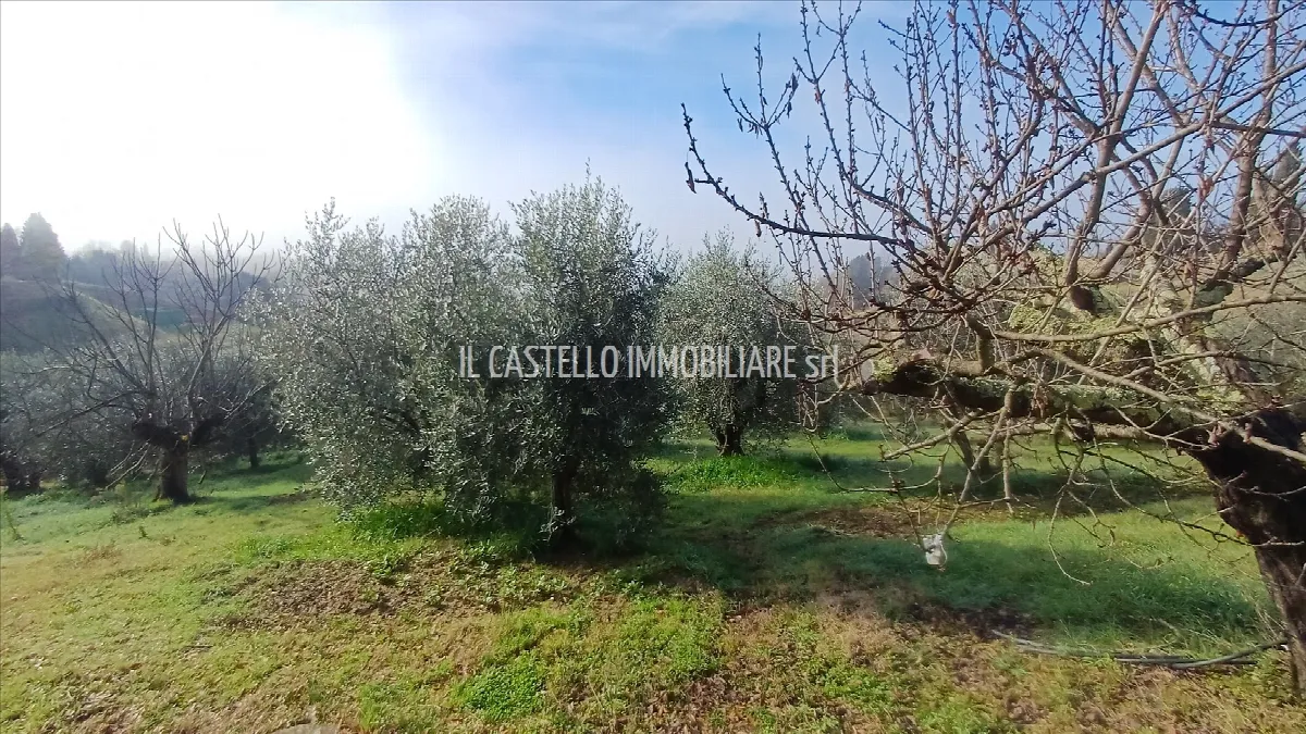 Rustico/Casale in vendita a Trequanda - foto 3