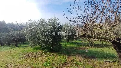 Rustico/Casale in vendita a Trequanda - foto 3