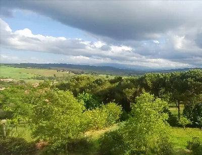 Appartamento in vendita a Montalcino - foto 4