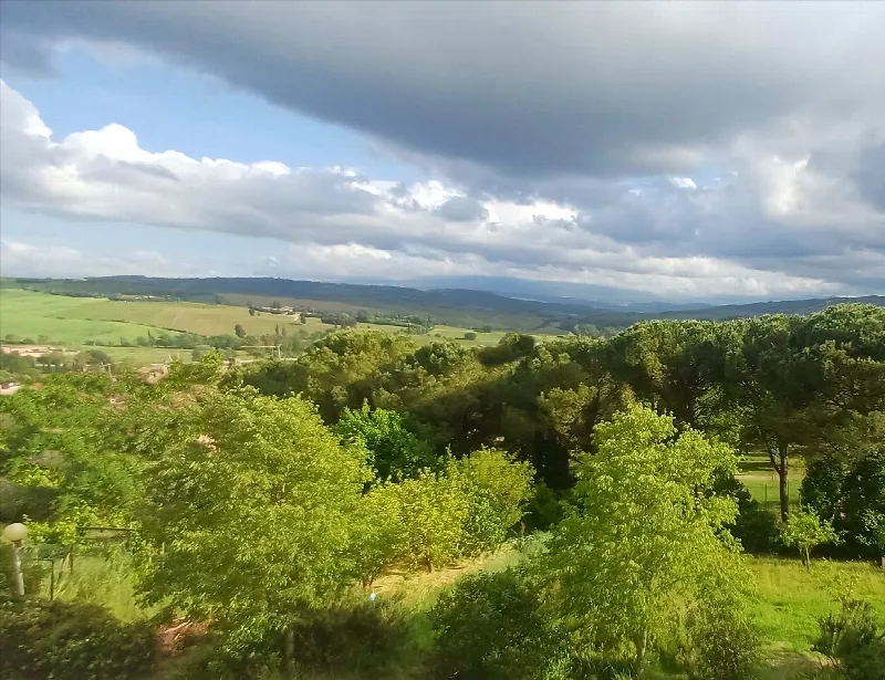 Appartamento in vendita a Montalcino - foto 4