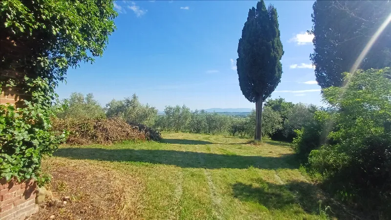 Rustico/Casale in vendita a Montepulciano - foto 7