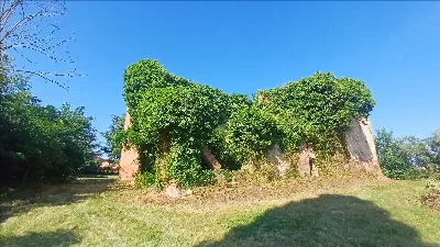 Rustico/Casale in vendita a Montepulciano - foto 9
