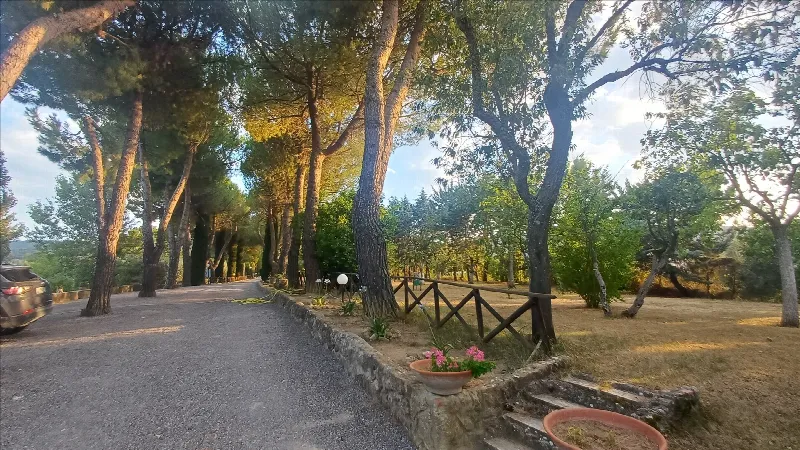 Rustico/Casale in vendita a Sarteano - foto 10