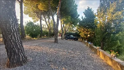 Rustico/Casale in vendita a Sarteano - foto 7