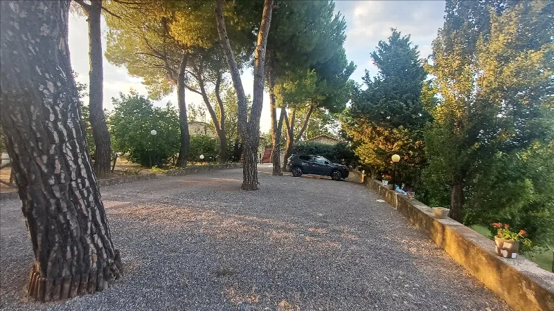 Rustico/Casale in vendita a Sarteano - foto 7