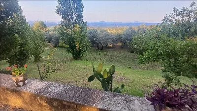 Rustico/Casale in vendita a Sarteano - foto 8