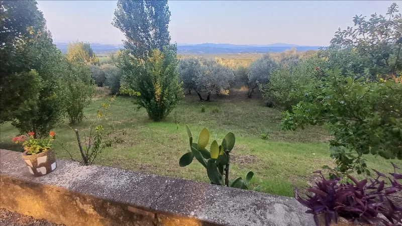 Rustico/Casale in vendita a Sarteano - foto 8