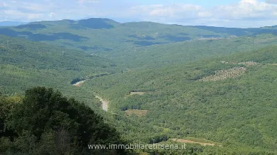 Rustico/Casale in vendita a Orvieto - foto 8