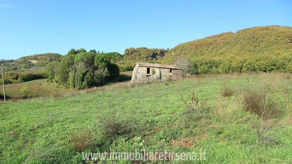 Rustico/Casale in vendita a Ficulle - foto 2