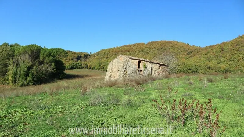 Rustico/Casale in vendita a Ficulle - foto 3