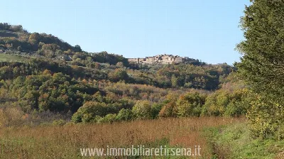 Rustico/Casale in vendita a Ficulle - foto 4