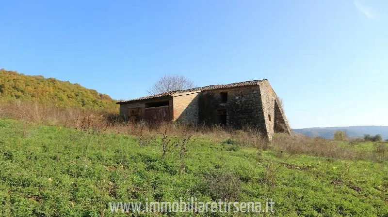 Rustico/Casale in vendita a Ficulle - foto 5