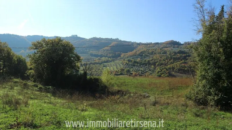 Rustico/Casale in vendita a Ficulle - foto 6