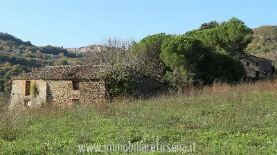 Rustico/Casale in vendita a Ficulle - foto 5