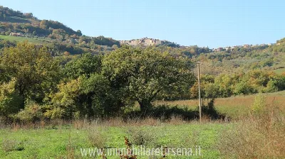Rustico/Casale in vendita a Orvieto - foto 9