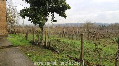 Casa Indipendente in vendita a Orvieto - foto 7
