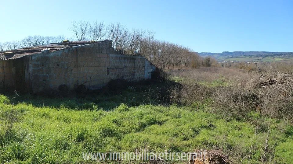 Rustico/Casale in vendita a Orvieto - foto 5
