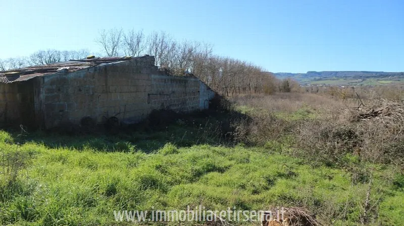Rustico/Casale in vendita a Orvieto - foto 5